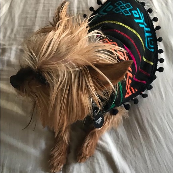 New handmade size L PONCHO FOR DOG/CAT - Picture 7 of 9